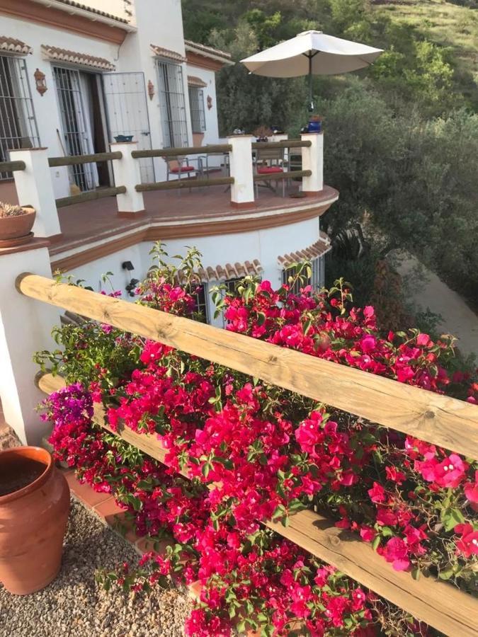 Villa Los Naranjos Sayalonga Exterior photo